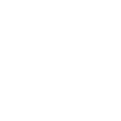 Network